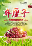 车厘子海报