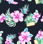扶桑花