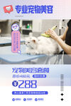 宠物美容 剃毛