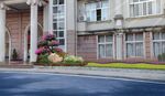 入口组团绿化 建筑边绿化