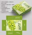 阳光玫瑰 葡萄包装