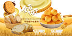 全麦饼干