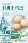 农家土鸡蛋海报