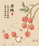 荔枝插画