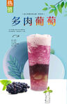 多肉葡萄 