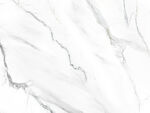 最新 透感新爵士白 tiF合层