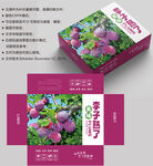 李子包装 水果盒子