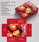 李子包装 水果盒子