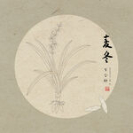 手绘麦冬线描