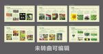 绿色东莞植物园动植物科普展板