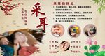 采耳的好处