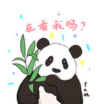 可爱福宝大熊猫插画