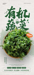 蔬菜海报