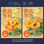 杏子海报