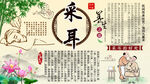 采耳背景墙