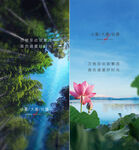 小暑 大 