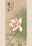 荷花