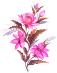 花朵花卉