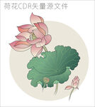 荷花 cdr
