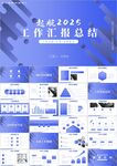 商务项目报告项目总结ppt