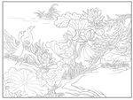 白描荷花