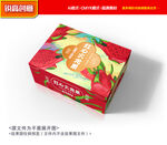 火龙果包装 水果礼盒