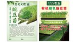 芽苗菜