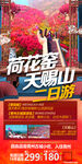 青州旅游海报