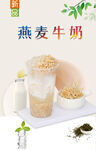 燕麦牛奶  