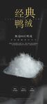 鸭绒鹅绒羽绒海报