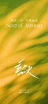 立秋节气稿