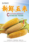 玉米