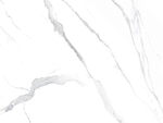 新传 新品爵士白图 tIF合层