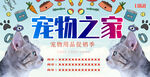 宠物