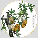 酸木瓜包装插画