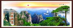 泰山迎客松