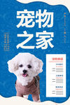 宠物