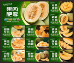 哈密瓜