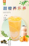 甜橙养乐多 