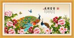 花开富贵孔雀图