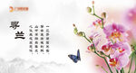 高清兰花海报