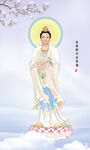 观音大士