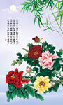 牡丹