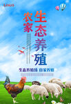生态养殖