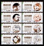 棉花