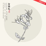 金银花