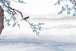 手绘花鸟