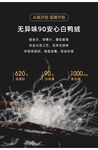 白鸭绒详情页