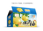 四季柚礼盒