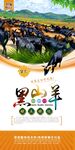 黑山羊